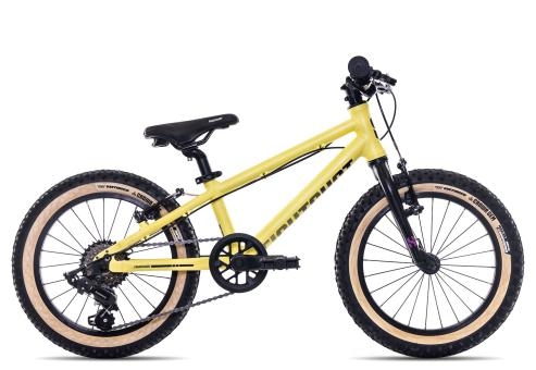 Eightshot COADY 16 SL