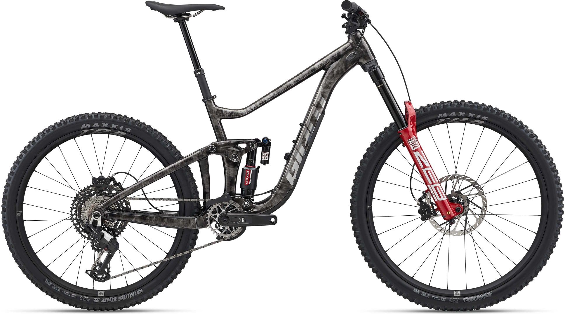 GIANT Reign SE