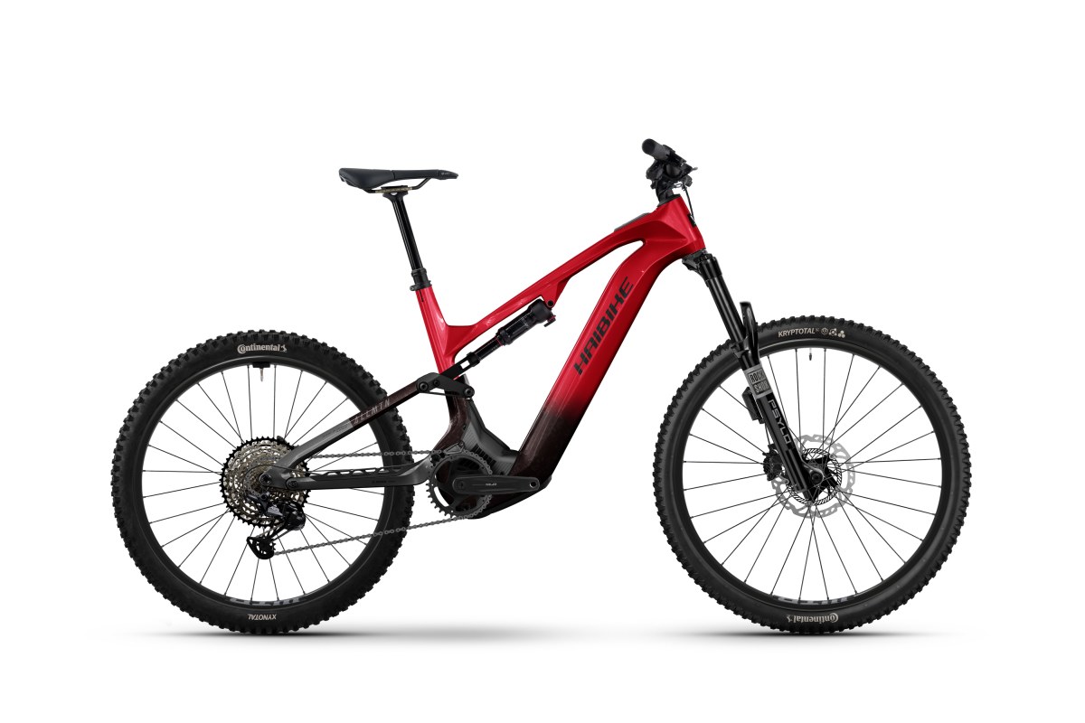 Haibike Allmtn CF 9.5 ABS High