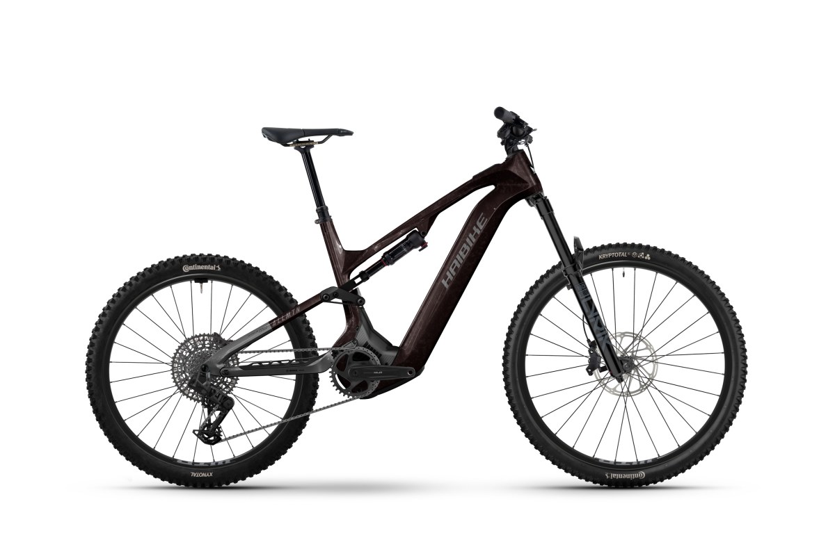 Haibike Allmtn CF 9 High