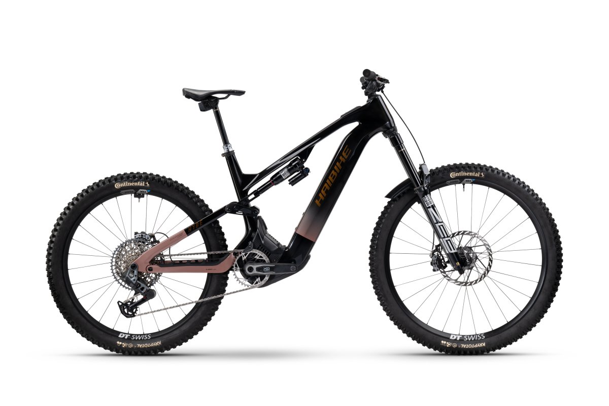 Haibike Hybe CF 11 29 / 27.5' ' Carbon Pedelec E-Bike MTB Fahrrad bronzefarben/blau