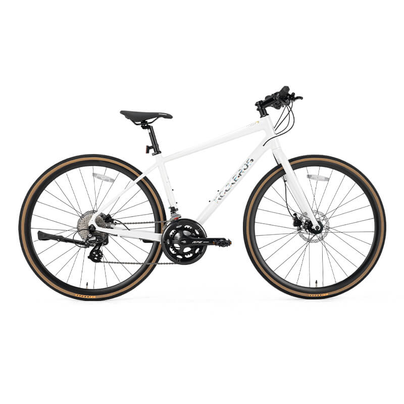 ROCKBROS RIDA-P2E 700C