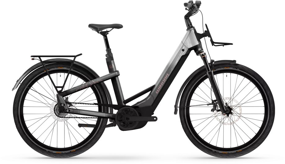 Winora Yakun R5 Pro Modell
