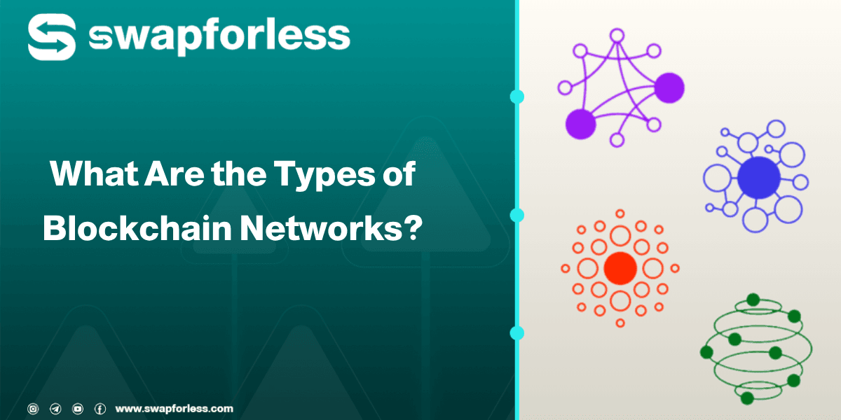 What Are the Types of Blockchain Networks?