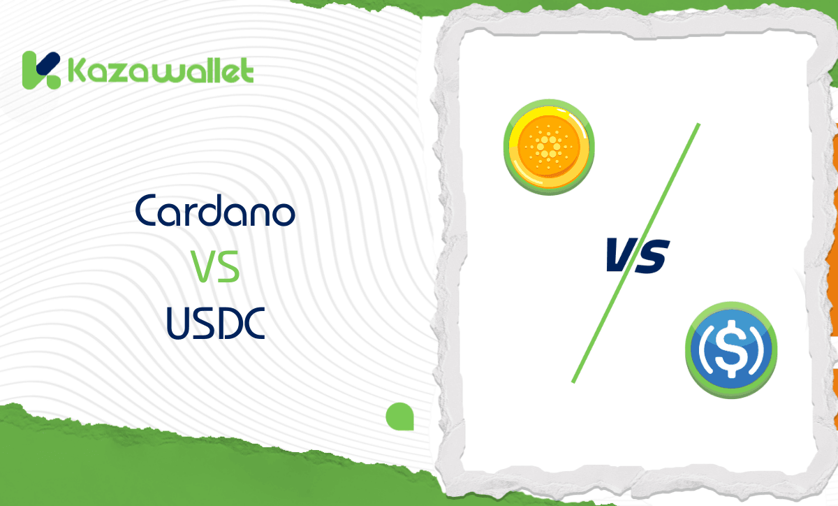 Cardano vs USDC: A Comparison of Risks and Stability