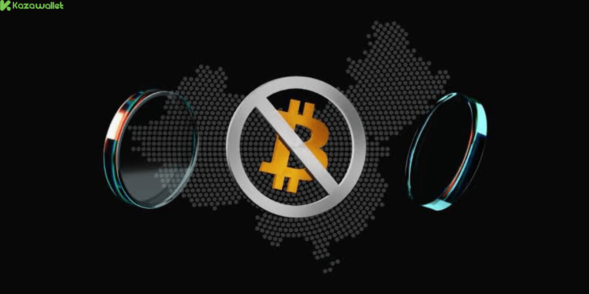 Why Countries Ban Crypto: The Main Government Concerns