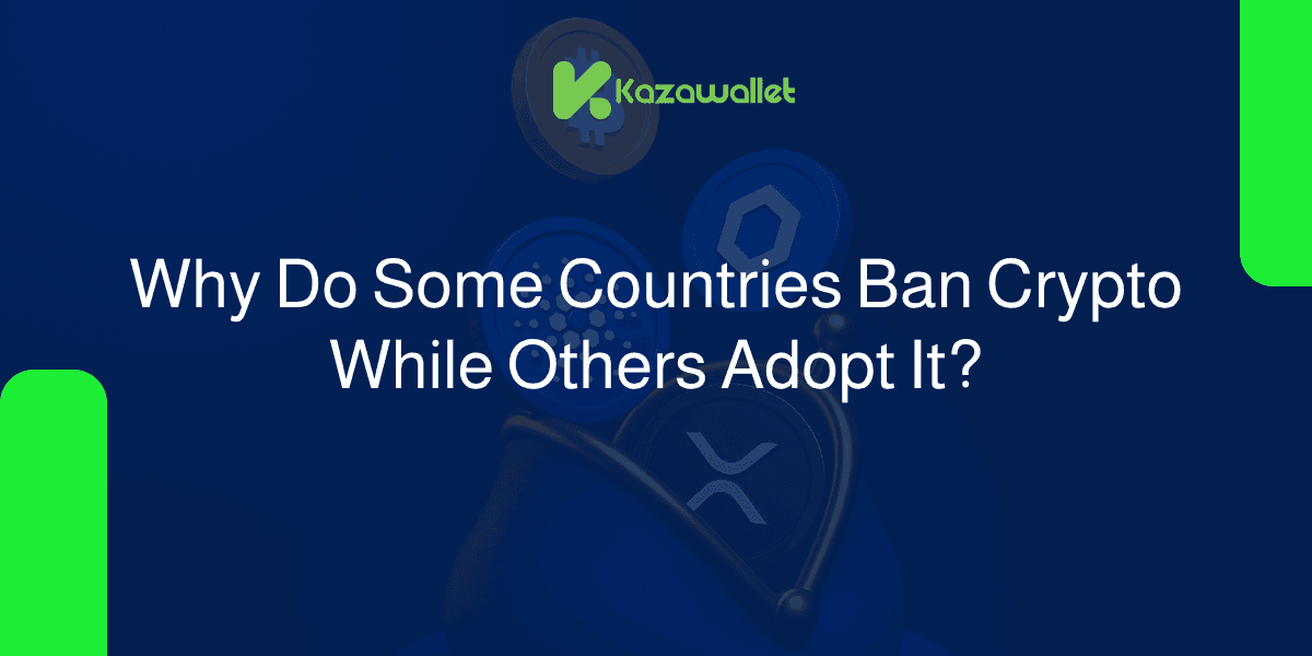 Why Do Some Countries Ban Crypto While Others Adopt It? A Landscape of Contradictions