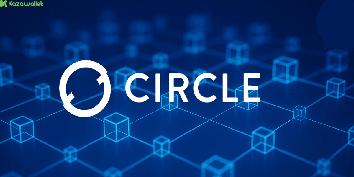 لماذا احتاجت Circle لشبكة خاصة بدل الاعتماد على الشبكات القائمة؟