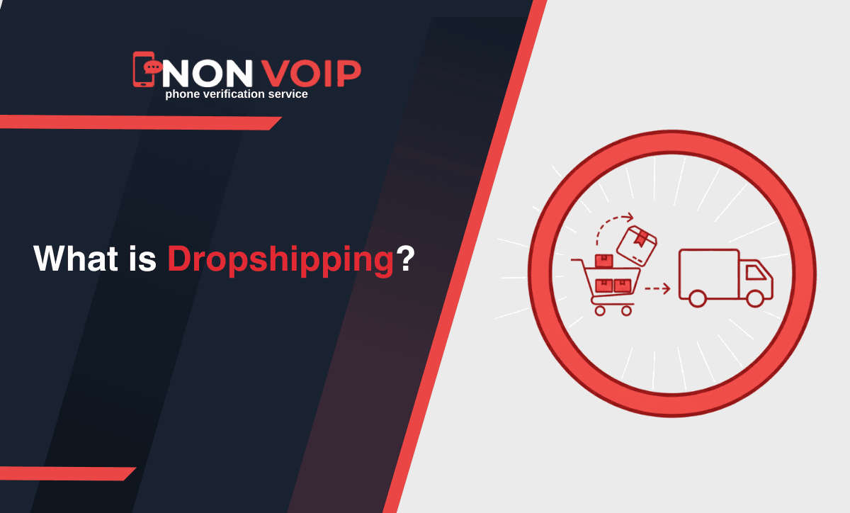 What is Dropshipping and how to Earn From it?