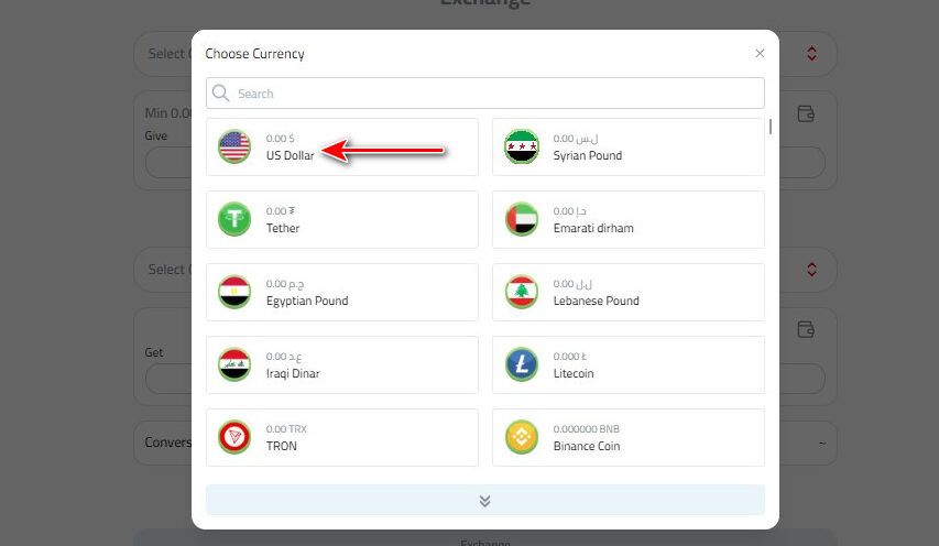 How to Deposit USD via Wish Money?