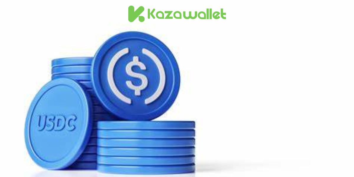 ما هي عملة USDC