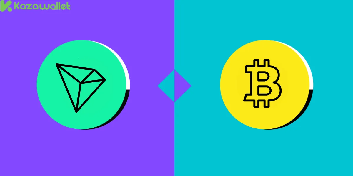 Risks Associated with Bitcoin and Tron