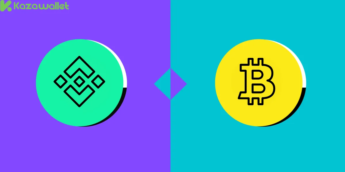 المخاطر المرتبطة بعملتي Bitcoin و Binance USD