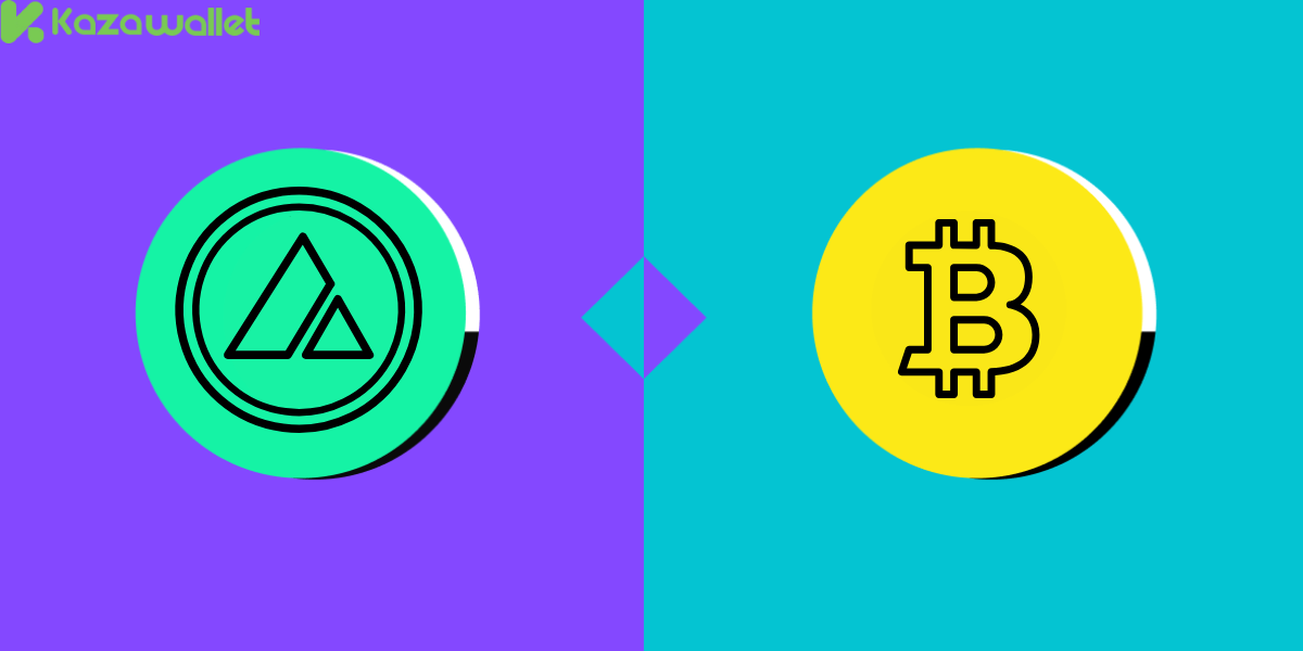 المخاطر المرتبطة بعملة بيتكوين وافلانش