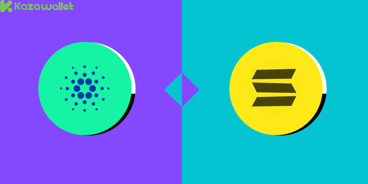 Risks Associated with Cardano and Solana