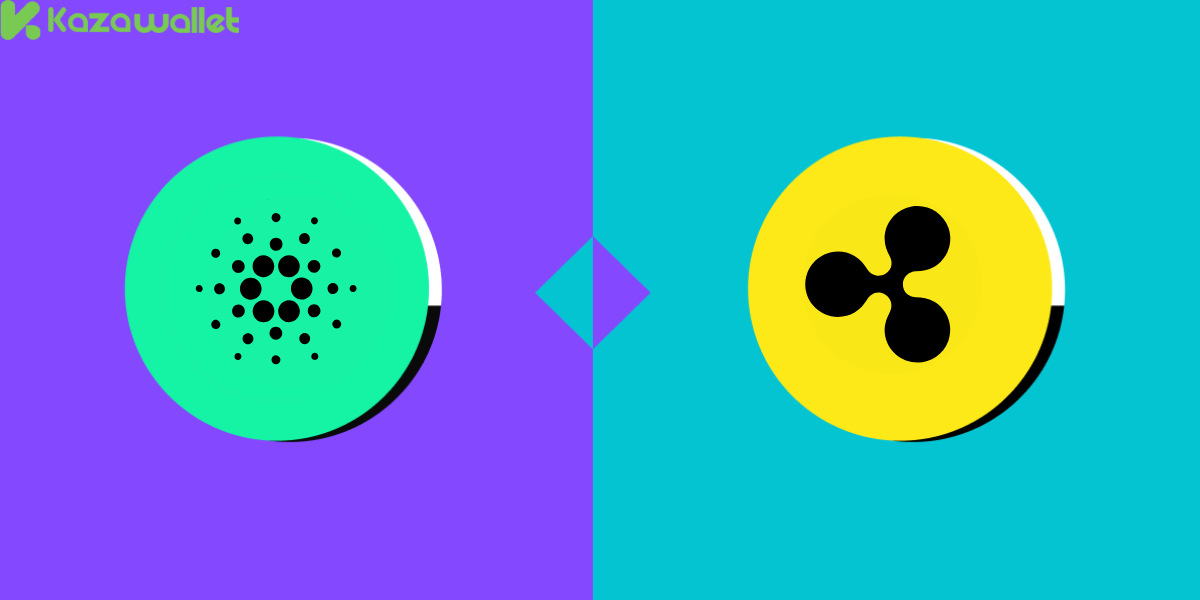 Cardano vs Ripple: Risks involved