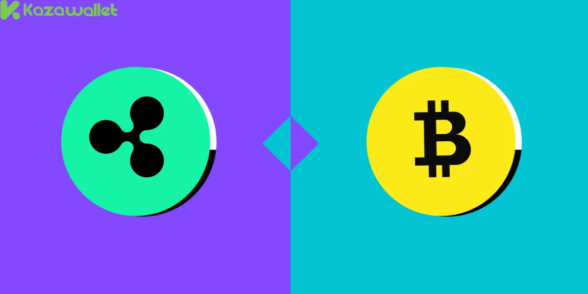 المخاطر المرتبطة بعملتي بيتكوين وريبل