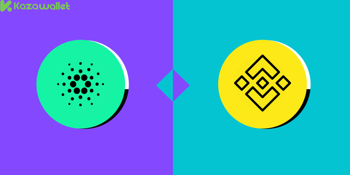 Cardano vs Binance USD: Risks involved