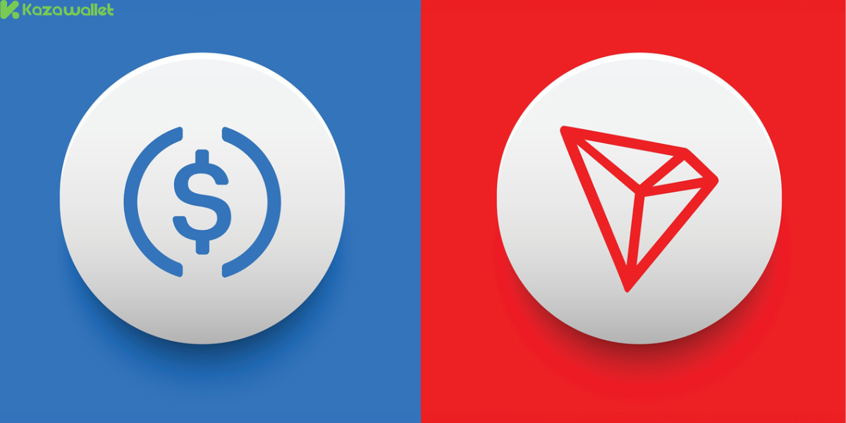 ما هو USDC على شبكة TRC20؟