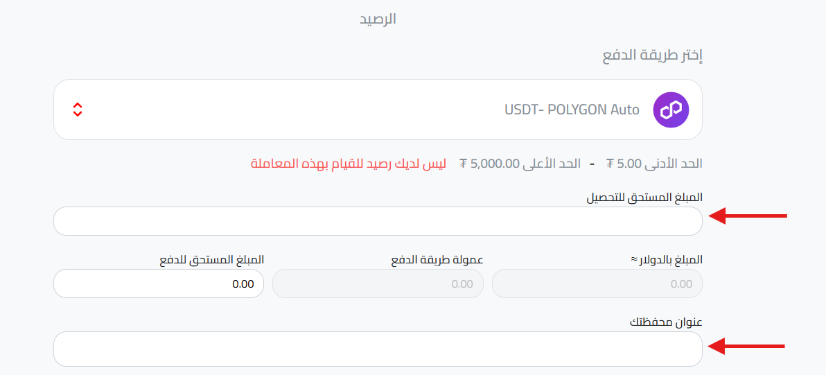 الصق العنوان الذي نسخته وحدد كمية USDT المطلوبة