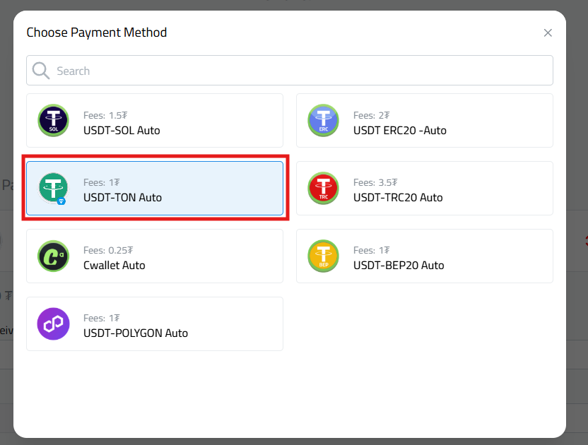 Withdrawing USDT to the TON network
