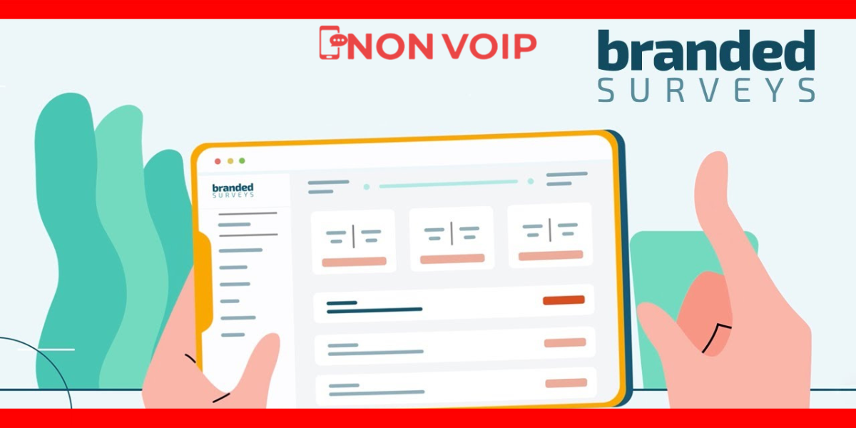What is Branded Surveys?