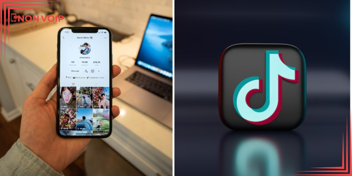 برنامج صناع المحتوى (TikTok Creator Fund)