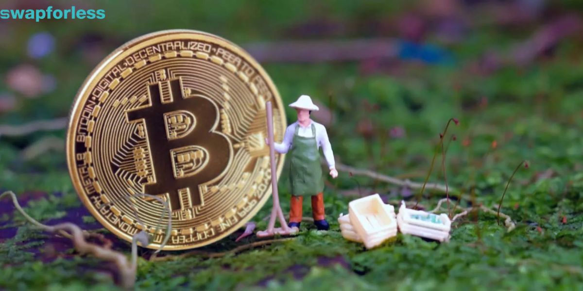 كيف تبدأ بزراعة العائد؟