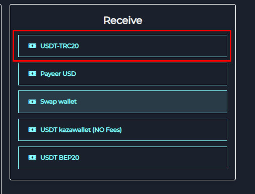 Steps to Exchange Prepaid Mastercard Balance to USDT-TRC20