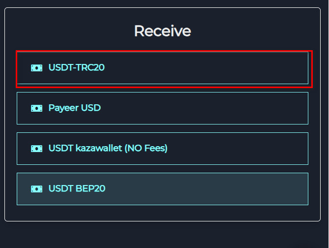 Steps to Exchange Nintendo USA Balance to USDT-TRC20 Via Swapforless