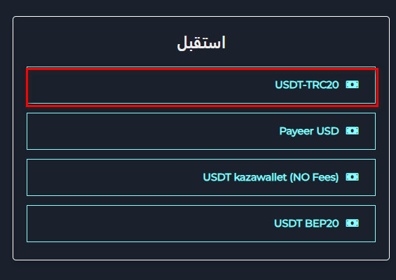 خطوات تبديل رصيد Nintendo usa الى USDT-TRC20