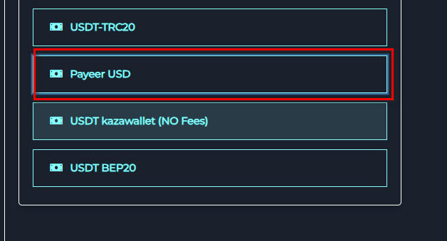 Payeer USD