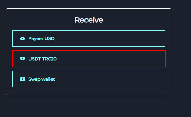 Steps to Exchange Offgamers USA Balance to USDT-TRC20 via Swapforless