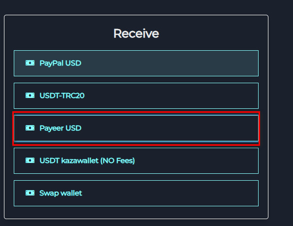 What are the Steps to exchange Amazon USA Balance to Payeer USD?