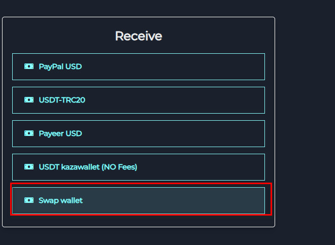 Steps to Exchange Amazon USA Balance to Swap Wallet via Swapforless