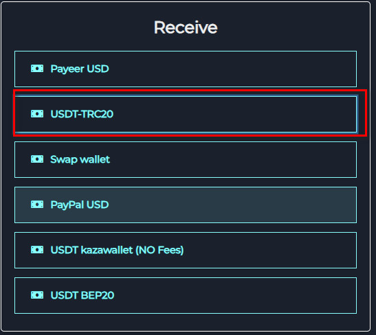 What are the Steps to Exchange Razer Gold PIN Global to USDT-TRC20?