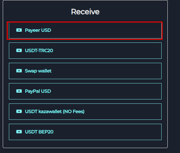 Steps to Exchange Your Razer Gold PIN Global to Payeer USD
