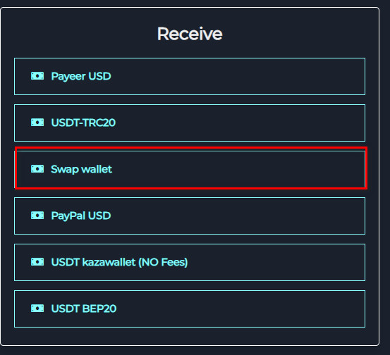 Steps to Exchange Razer Gold PIN Global to Swap Wallet