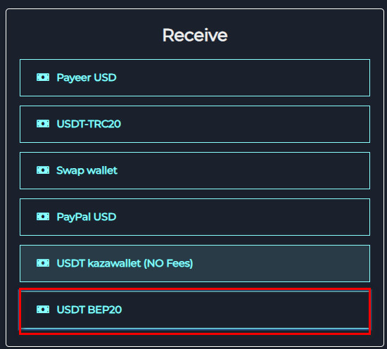 Steps to Exchange Razer Gold PIN Global to USDT-BEP20