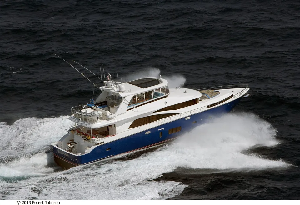 Johnson FLYBRIDGE w/FISHING COCKPIT