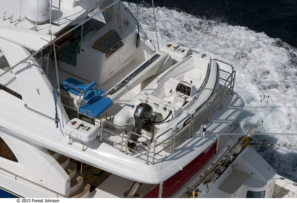 Johnson FLYBRIDGE w/FISHING COCKPIT