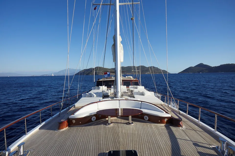#1 Hull