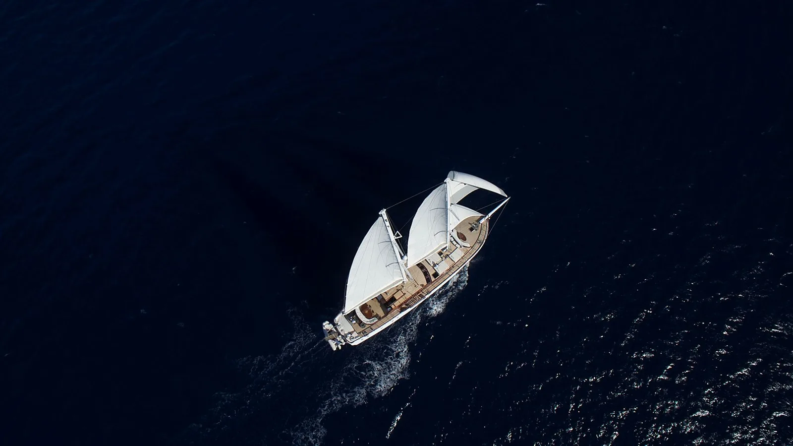 #1 Hull