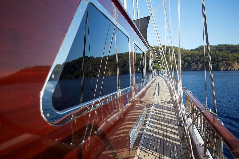 #1 Hull