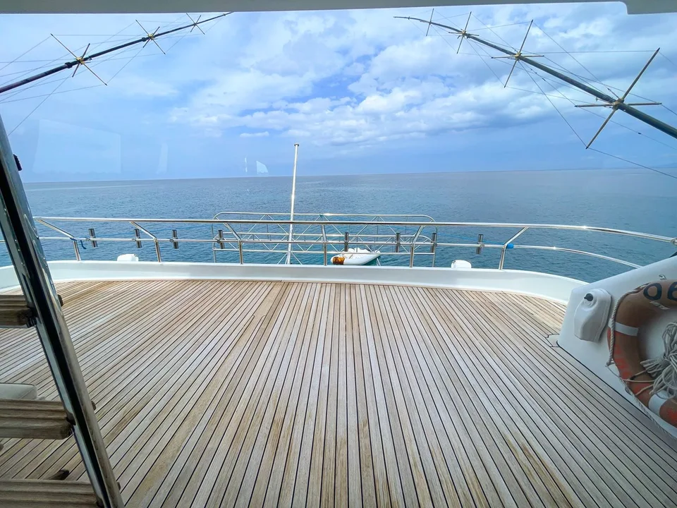 Heesen 1996 Heesen