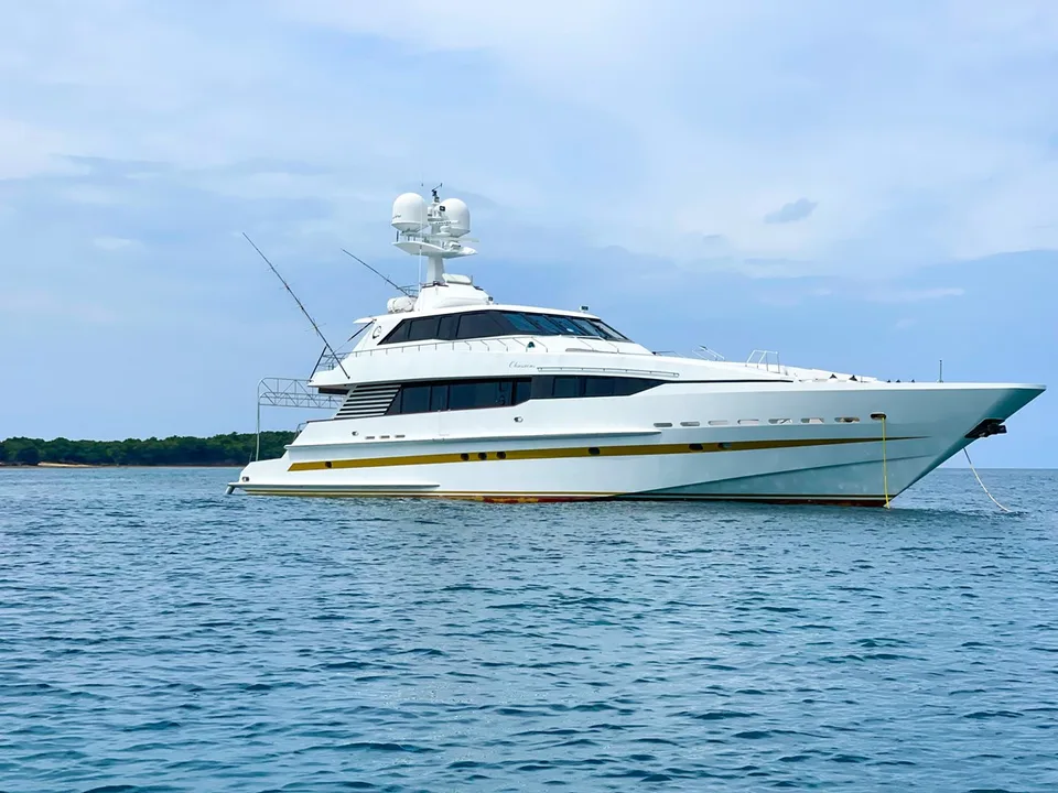 Heesen 1996 Heesen