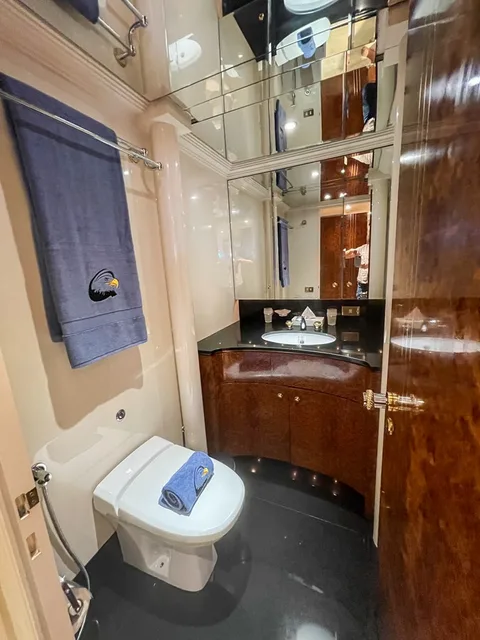 Heesen 1996 Heesen
