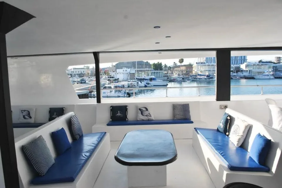 Custom Built Power Catamaran