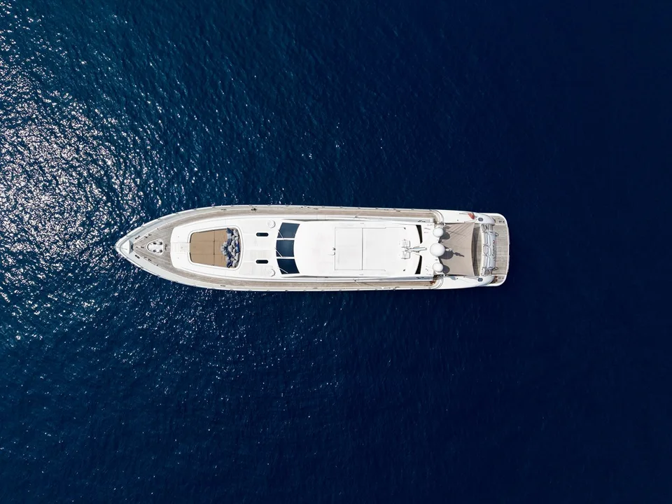 Arno Leopard 34