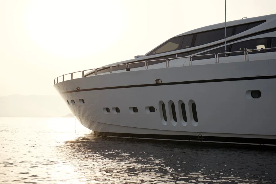 Arno Leopard 34
